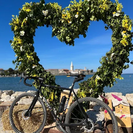 Apartment Maj Premium 4 Sterne - Neu Renoviert